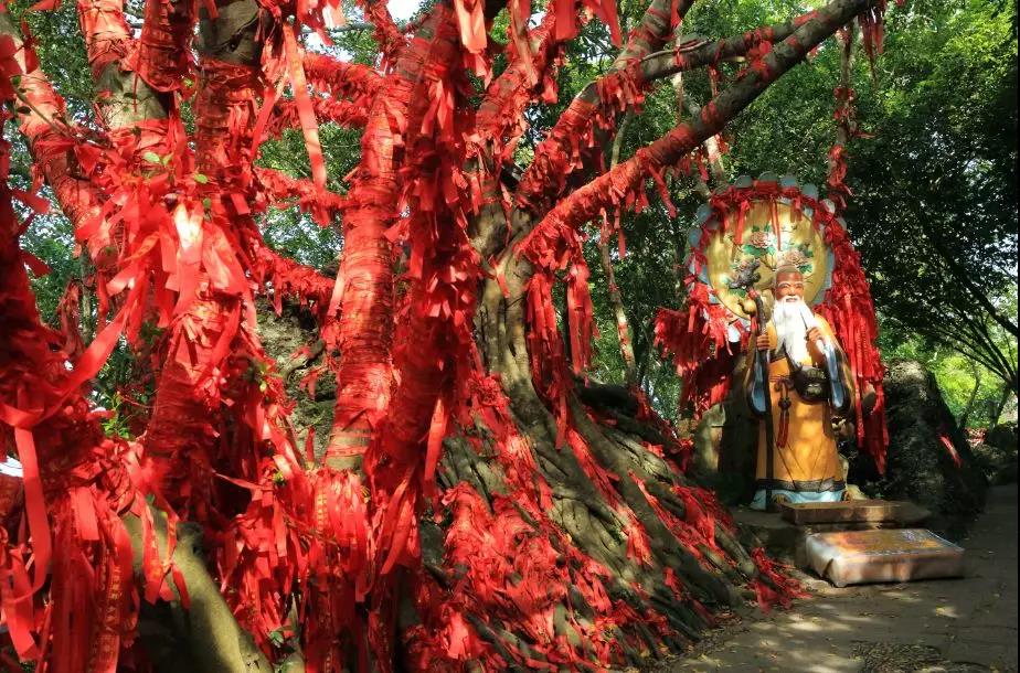 1558429548773324.jpg 微信图片_20190521170522.jpg