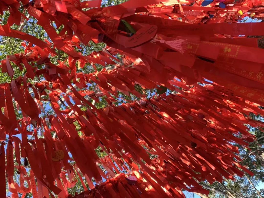 1558429566140391.jpg 微信图片_20190521170556.jpg