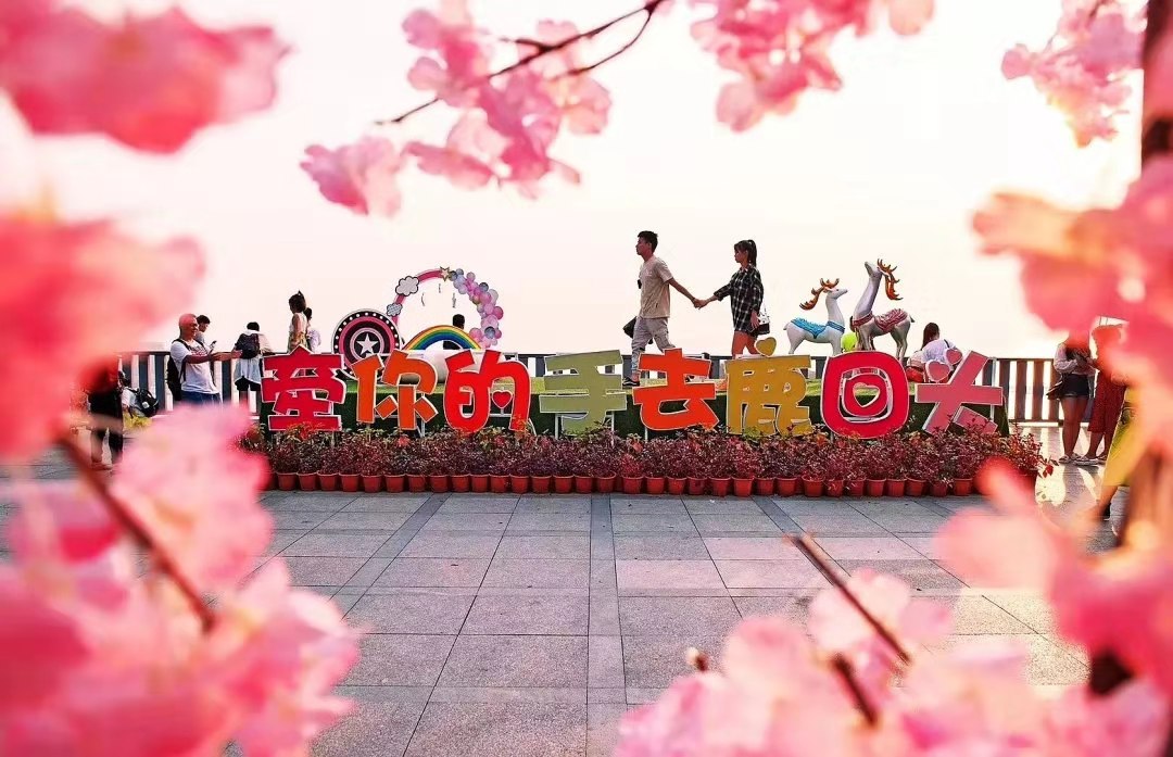 1565665910567650.jpg 微信图片_20190813111134.jpg