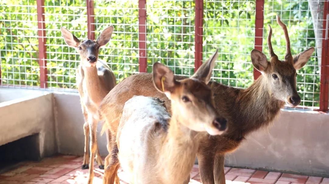 1594455949277466.jpg 微信图片_20200711162402.jpg