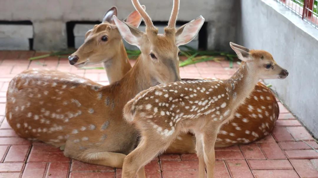 1594455992296695.jpg 微信图片_20200711162405.jpg