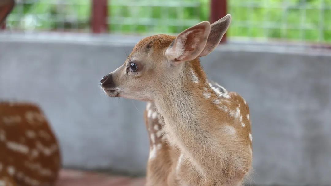 1594456030259981.jpg 图片关键词