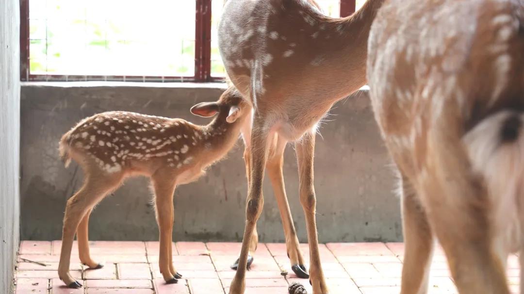 1594456030390194.jpg 图片关键词