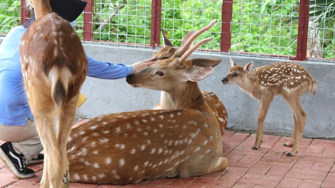 1594456030844343.jpg 图片关键词