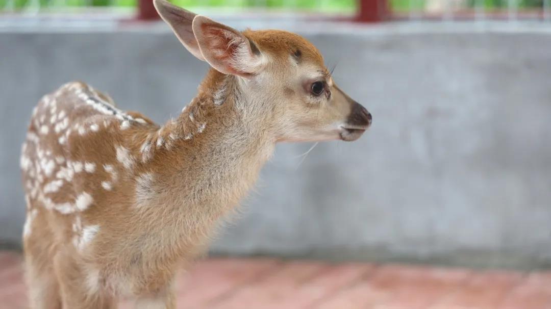 1594456061852190.jpg 微信图片_20200711162415.jpg