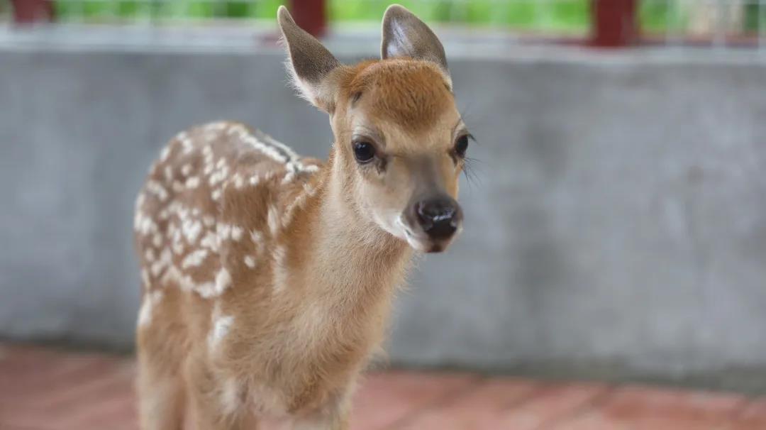 1594456079182430.jpg 图片关键词