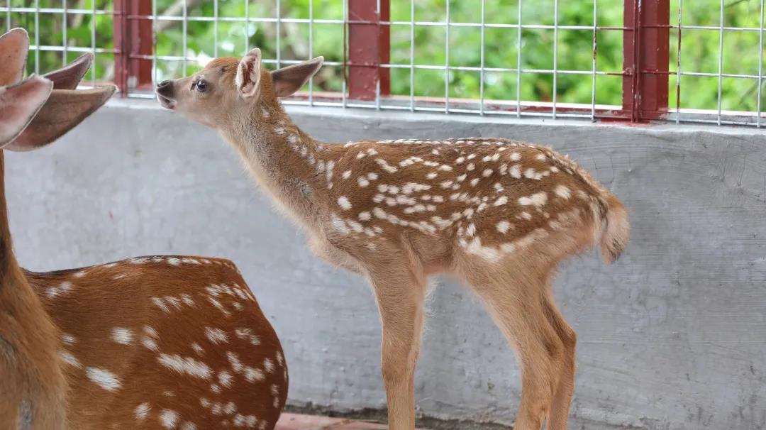 1594456079544735.jpg 图片关键词