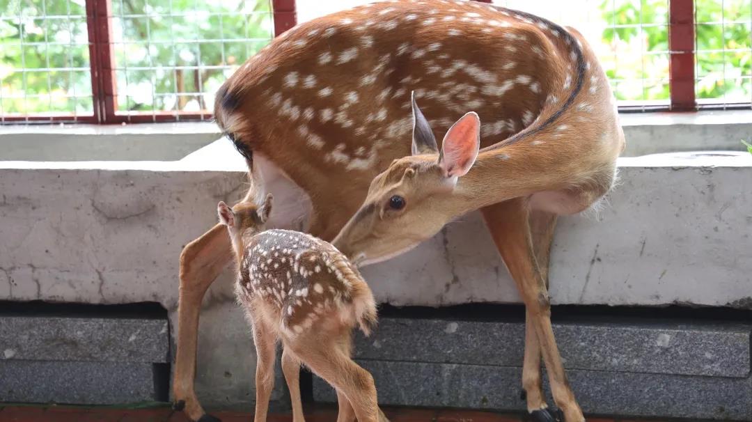 1594456126719632.jpg 图片关键词