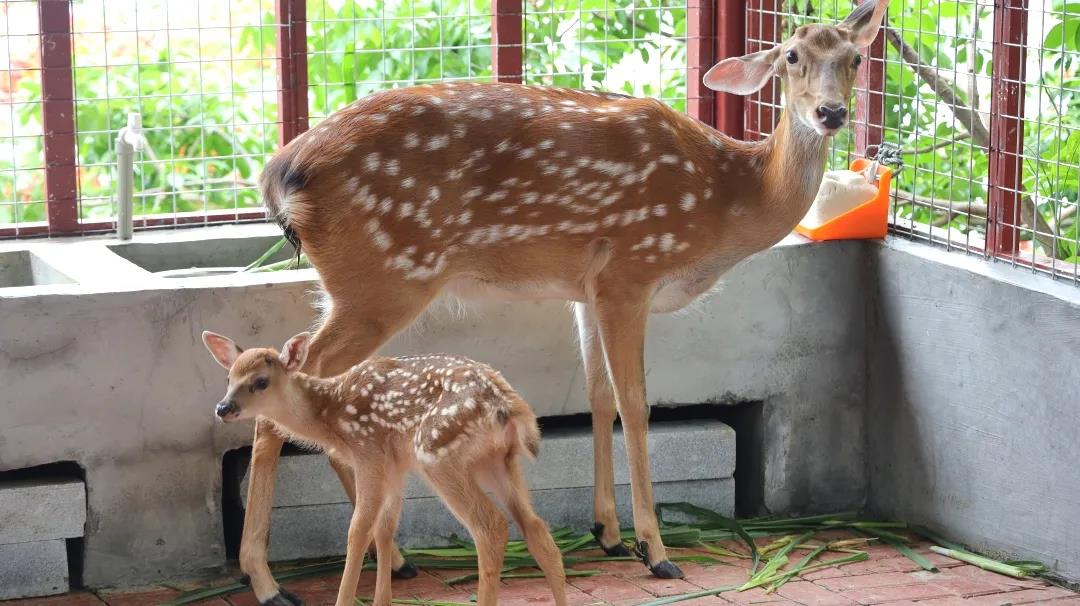 1594456126803234.jpg 图片关键词