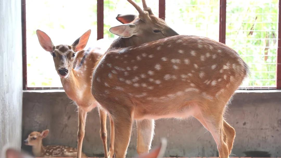 1594456126881352.jpg 图片关键词