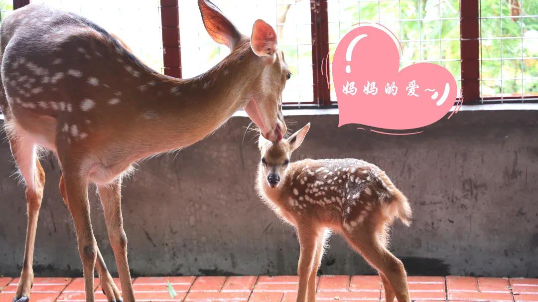 1594456126969665.jpg 图片关键词