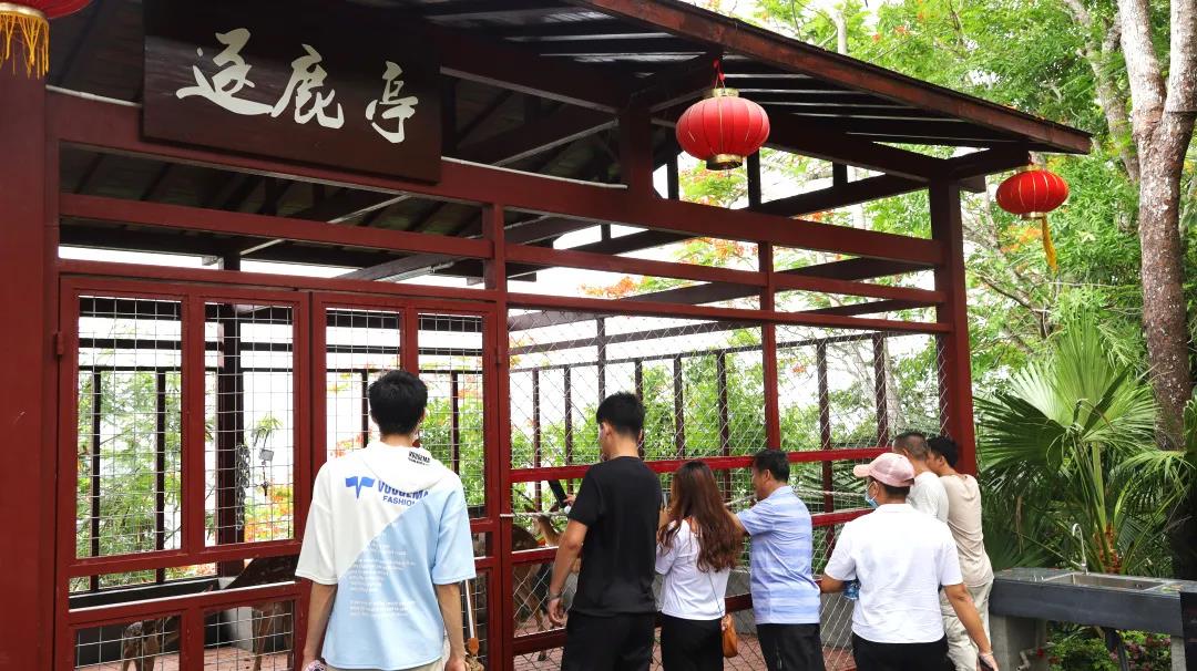 1594456153422008.jpg 图片关键词