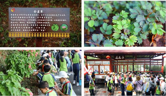 1597135481250697.jpg 微信截图_20200811164426.jpg