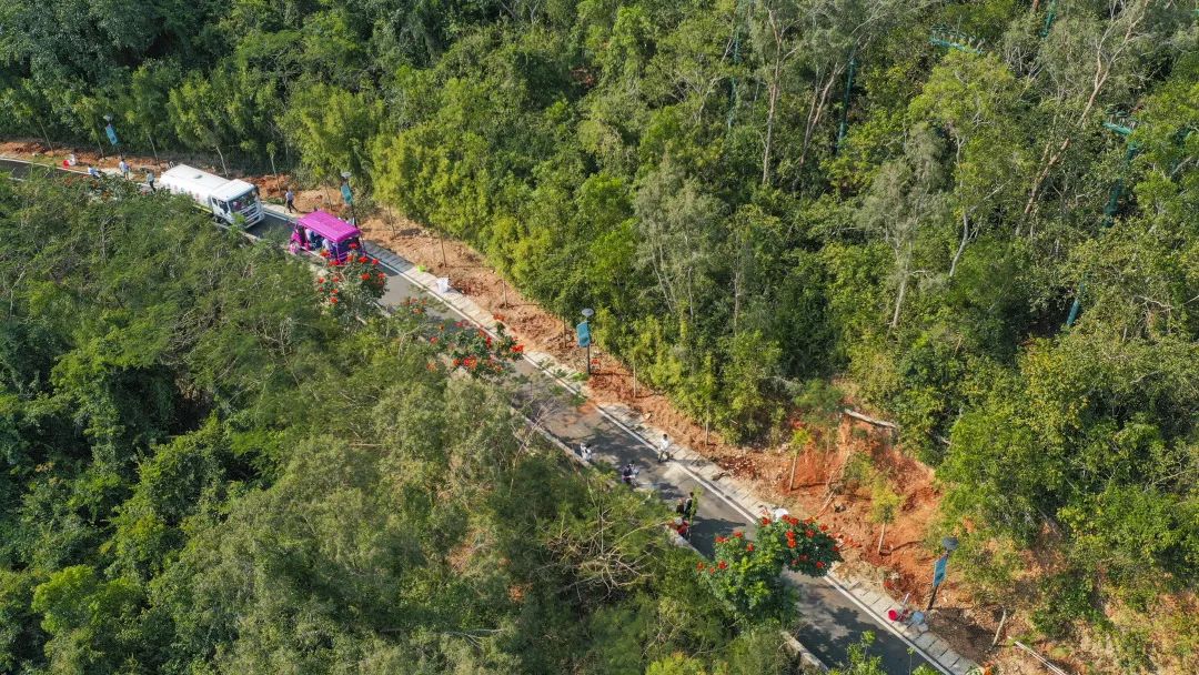 1659412095592331.jpg 640 (21).jpg