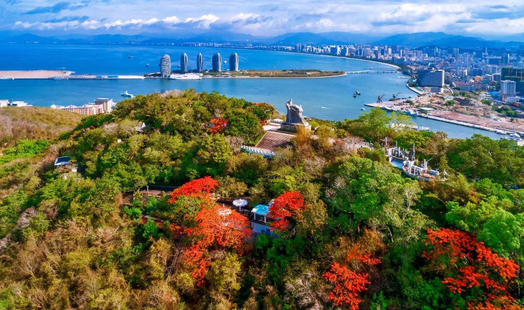 1659412619346099.jpg 640 (24).jpg